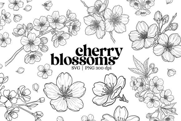 Botanical Cherry Blossom Outline Clipart: Graphics for Spring Design