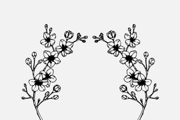 Hand Drawing Cherry Blossom Branch Graphics