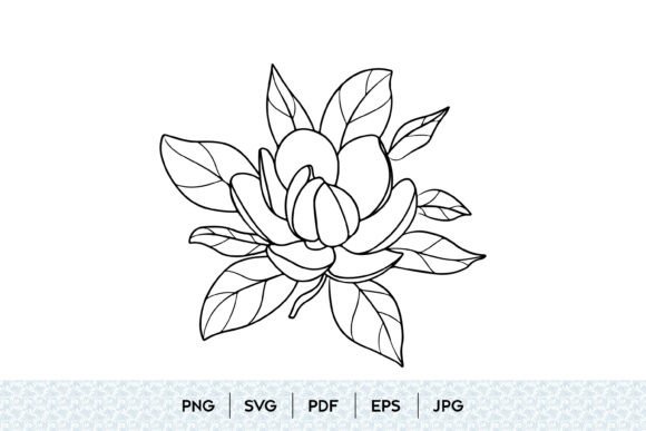 Magnolia Flower Bloom SVG Graphics