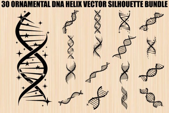 Ornamental DNA Helix Silhouette Bundle: Graphics & Illustrations for Creative Projects