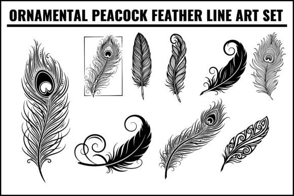 Ornamental Peacock Feather Line Art Set: Graphics & Illustrations for Branding