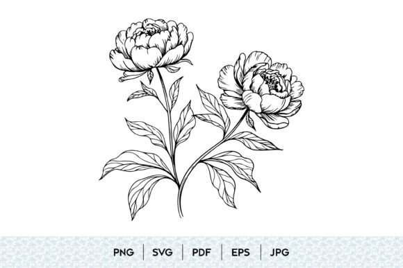 Peony Flower SVG Bundle: Graphics and Illustrations for Digital Selling